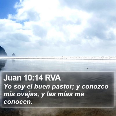 Juan 10:14 RVA Bible Verse Image