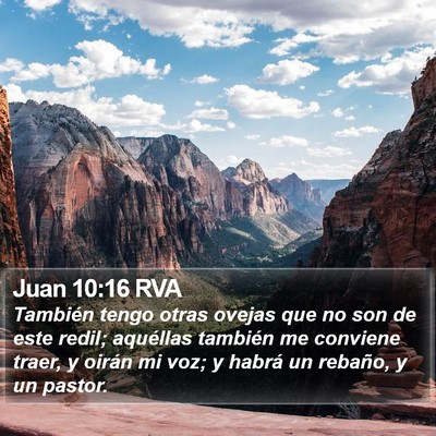 Juan 10:16 RVA Bible Verse Image