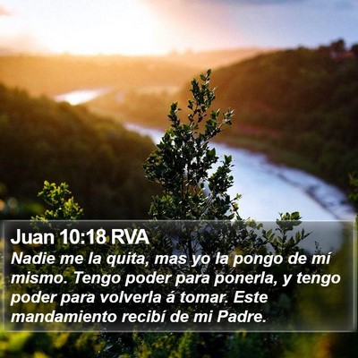 Juan 10:18 RVA Bible Verse Image