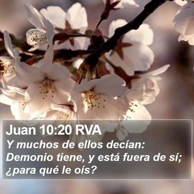 Juan 10:20 RVA Bible Verse Image