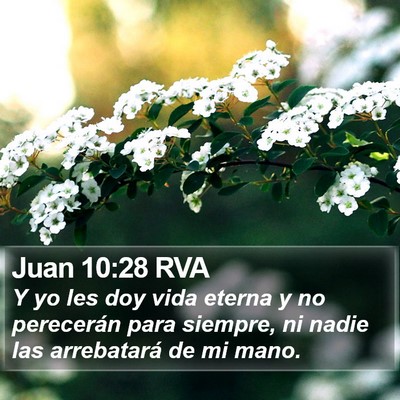 Juan 10:28 RVA Bible Verse Image