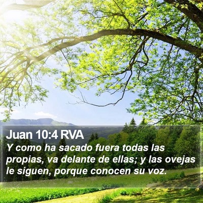 Juan 10:4 RVA Bible Verse Image