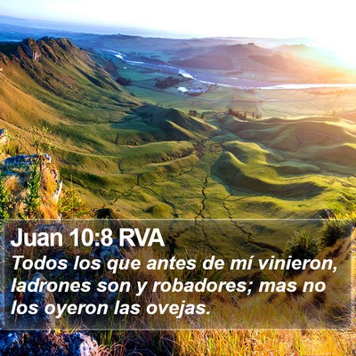 Juan 10:8 RVA Bible Verse Image