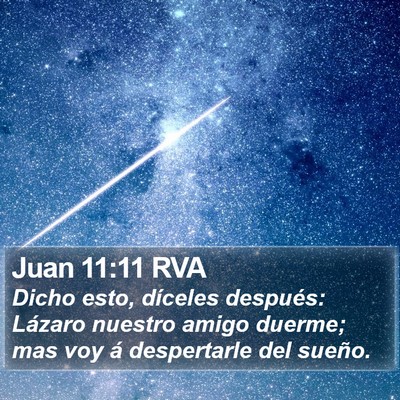 Juan 11:11 RVA Bible Verse Image