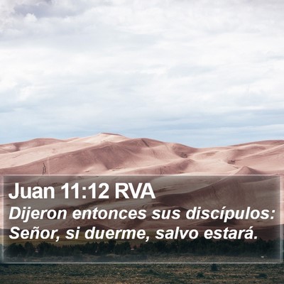 Juan 11:12 RVA Bible Verse Image