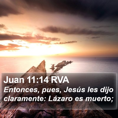 Juan 11:14 RVA Bible Verse Image
