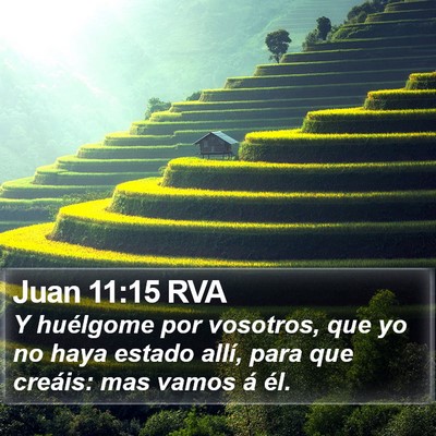 Juan 11:15 RVA Bible Verse Image