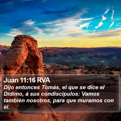 Juan 11:16 RVA Bible Verse Image