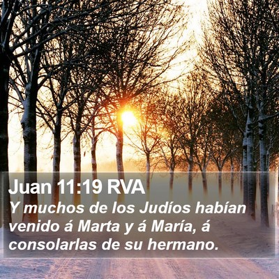 Juan 11:19 RVA Bible Verse Image