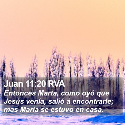 Juan 11:20 RVA Bible Verse Image