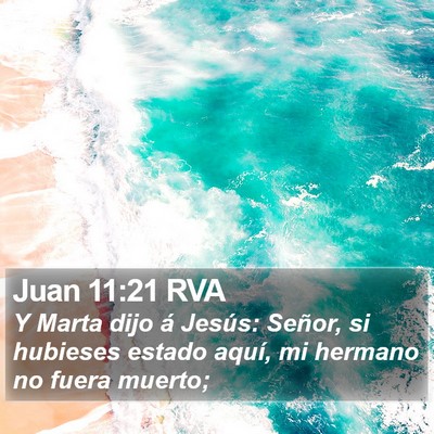 Juan 11:21 RVA Bible Verse Image