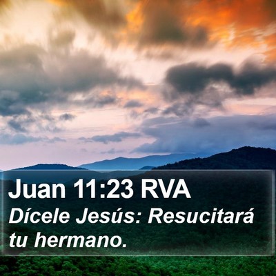 Juan 11:23 RVA Bible Verse Image
