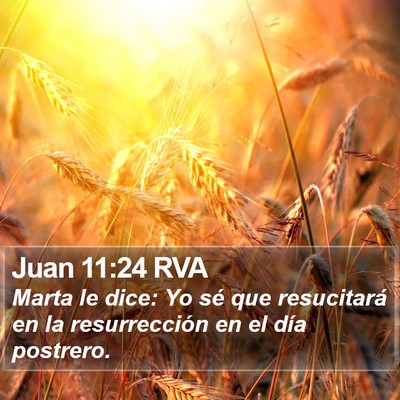 Juan 11:24 RVA Bible Verse Image