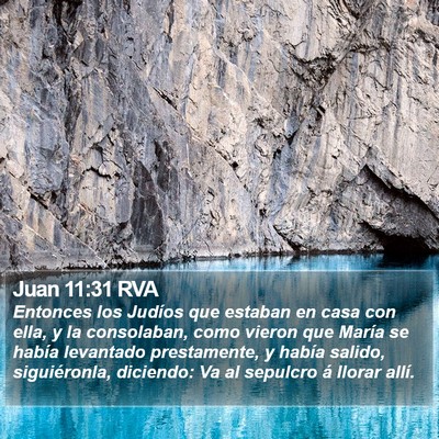 Juan 11:31 RVA Bible Verse Image