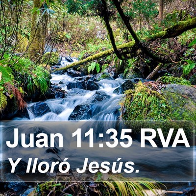 Juan 11:35 RVA Bible Verse Image