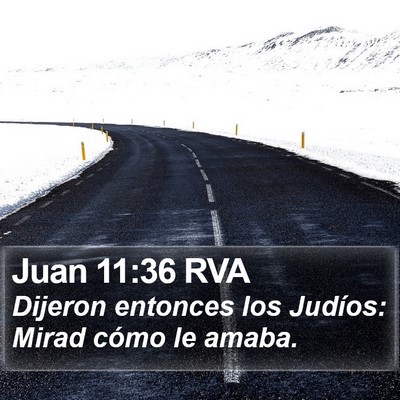 Juan 11:36 RVA Bible Verse Image