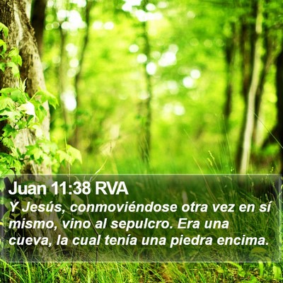 Juan 11:38 RVA Bible Verse Image