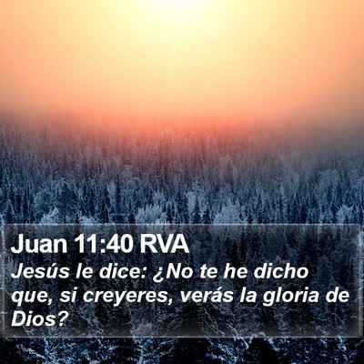Juan 11:40 RVA Bible Verse Image