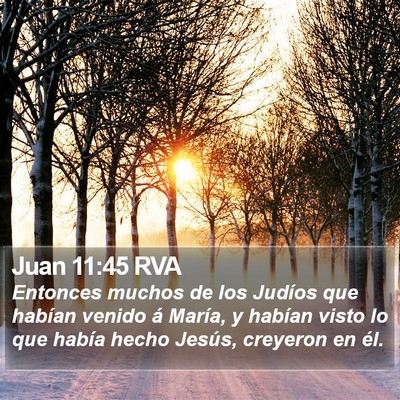 Juan 11:45 RVA Bible Verse Image