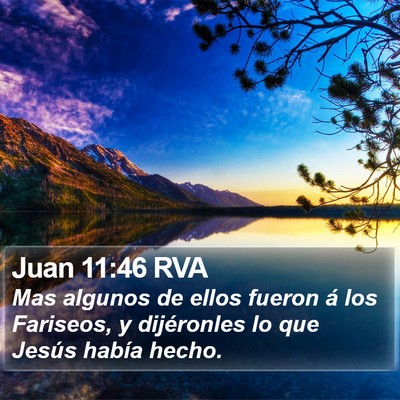 Juan 11:46 RVA Bible Verse Image
