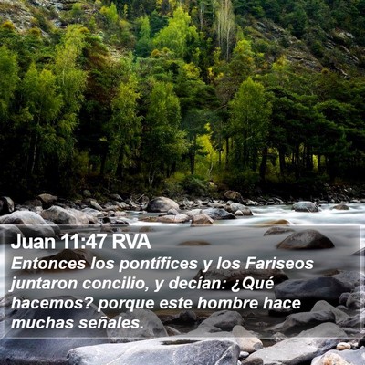 Juan 11:47 RVA Bible Verse Image