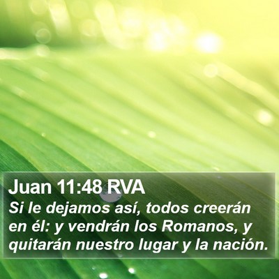 Juan 11:48 RVA Bible Verse Image