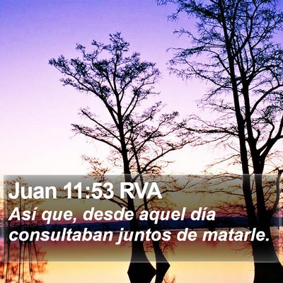 Juan 11:53 RVA Bible Verse Image