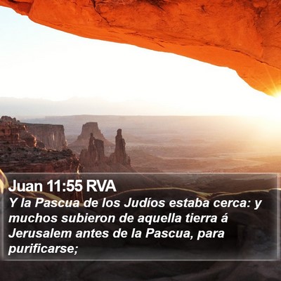 Juan 11:55 RVA Bible Verse Image