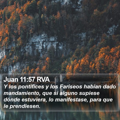 Juan 11:57 RVA Bible Verse Image