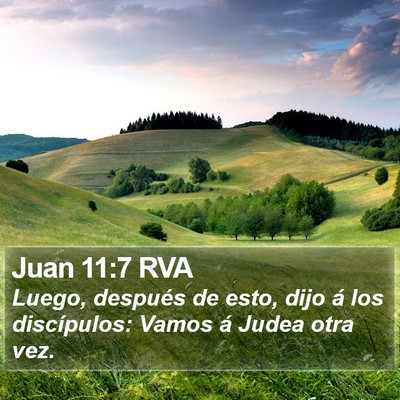 Juan 11:7 RVA Bible Verse Image