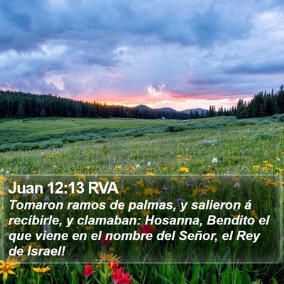 Juan 12:13 RVA Bible Verse Image