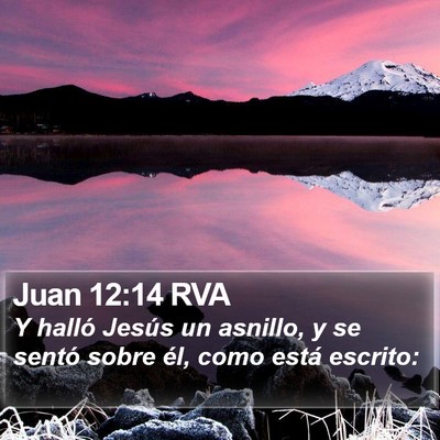 Juan 12:14 RVA Bible Verse Image