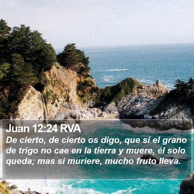 Juan 12:24 RVA Bible Verse Image