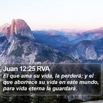 Juan 12:25 RVA Bible Verse Image