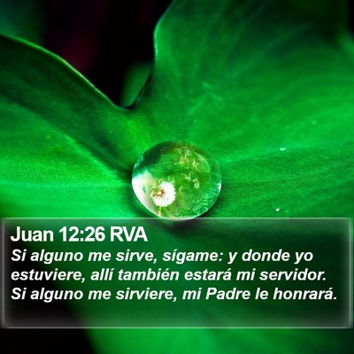 Juan 12:26 RVA Bible Verse Image