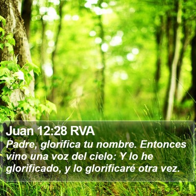Juan 12:28 RVA Bible Verse Image