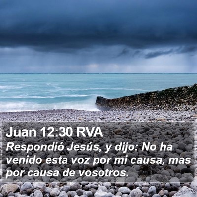 Juan 12:30 RVA Bible Verse Image