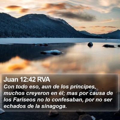 Juan 12:42 RVA Bible Verse Image