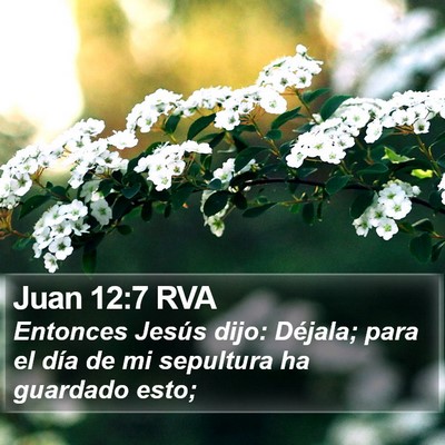 Juan 12:7 RVA Bible Verse Image