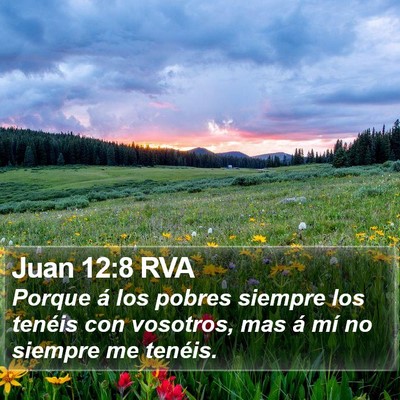 Juan 12:8 RVA Bible Verse Image