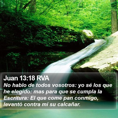 Juan 13:18 RVA Bible Verse Image