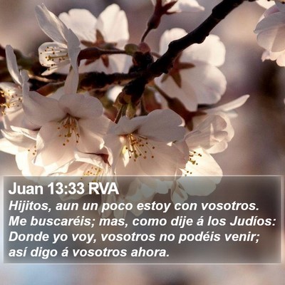 Juan 13:33 RVA Bible Verse Image