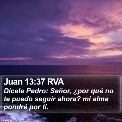 Juan 13:37 RVA Bible Verse Image