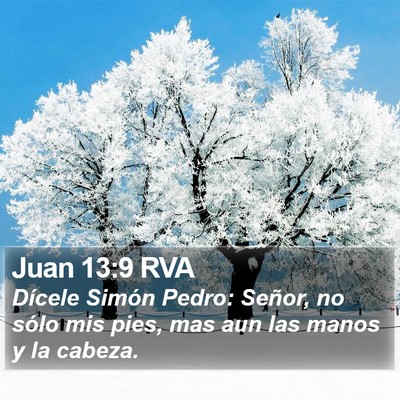 Juan 13:9 RVA Bible Verse Image