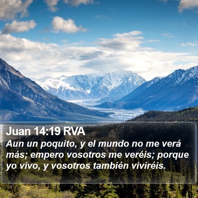 Juan 14:19 RVA Bible Verse Image