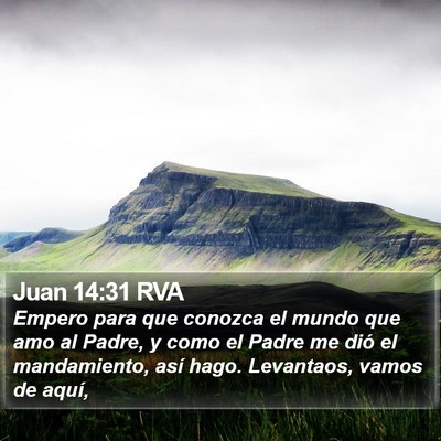 Juan 14:31 RVA Bible Verse Image