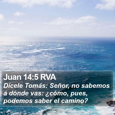 Juan 14:5 RVA Bible Verse Image