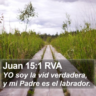 Juan 15:1 RVA Bible Verse Image