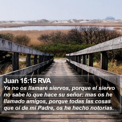 Juan 15:15 RVA Bible Verse Image