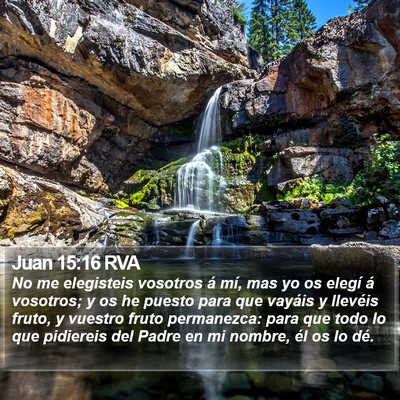 Juan 15:16 RVA Bible Verse Image